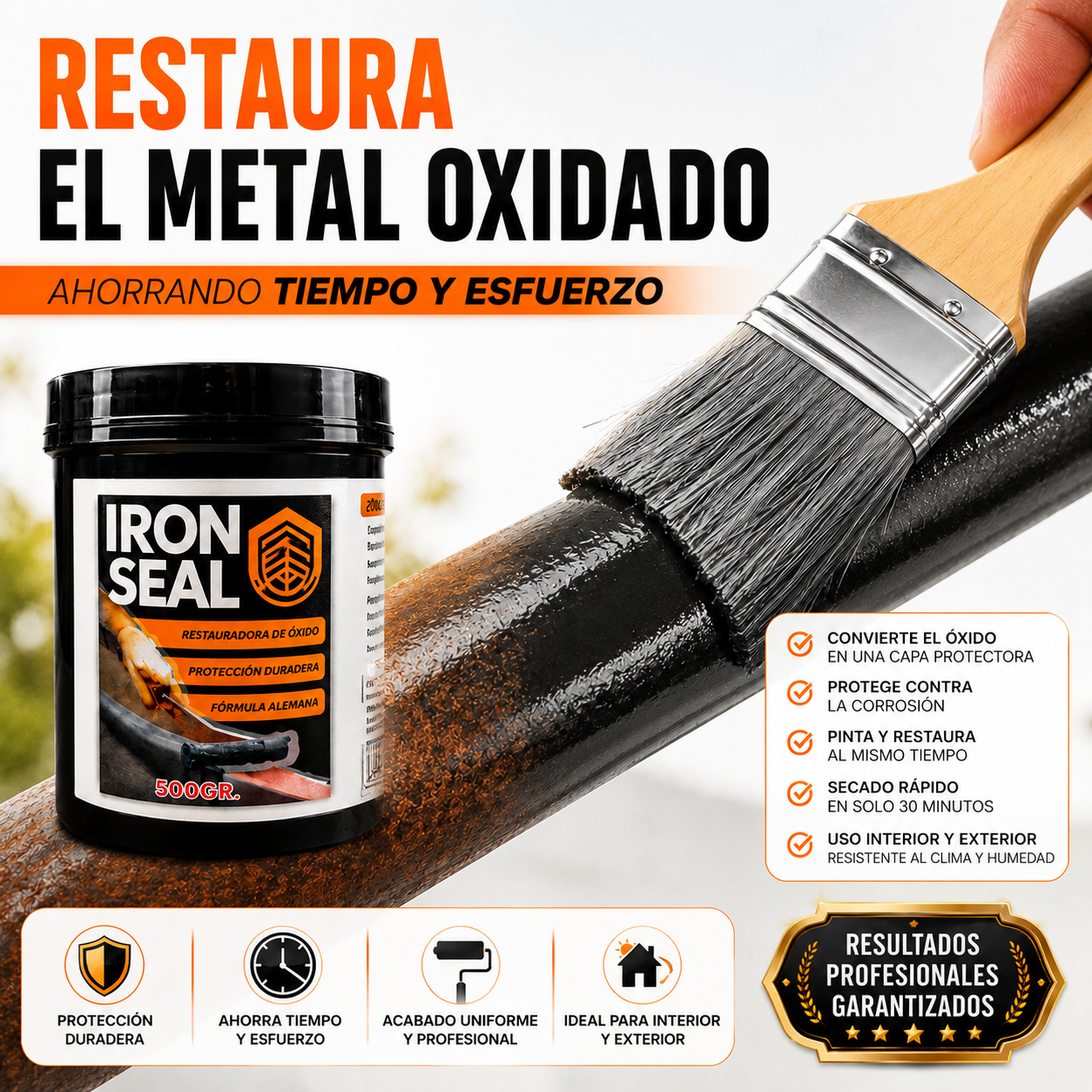 🎨 IRON SEAL ANTIOXIDO X 500ML + OBSEQUIO 🎁